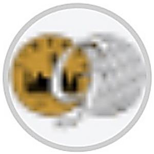 GFS Home Loans logo