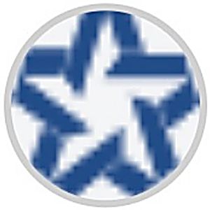 Texas Title logo